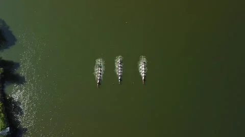 Rowing teams practice on a large lake surrounded by trees during a sunny day Stock Footage 335333591