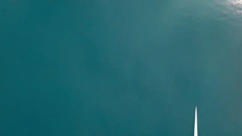 Rowing Top view of professional rower in racing boat, symbol of strength Stock Footage 317559222