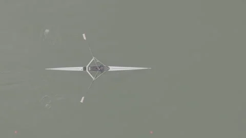 Rowing Top view of professional rower in racing boat, symbol of strength Stock Footage 319539232