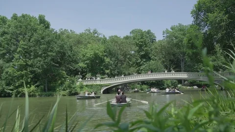 Rowing towards Bow Bridge in Central Park 스톡 동영상 79850005