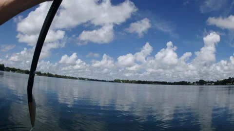 Rowing on the Water Stock Footage 68143712