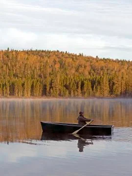 Rowing in the wild Stock-Fotos