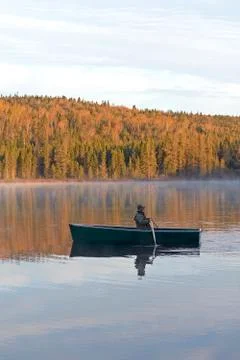 Rowing in the wild Foto stock