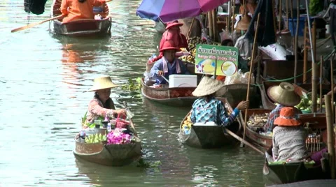 Rowing Women 스톡 동영상 8780556