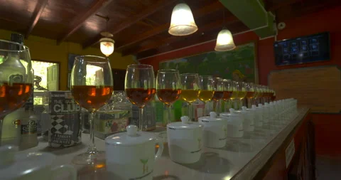 Rows of amber tea glasses and white tasting cups on table Stock Footage 346101689