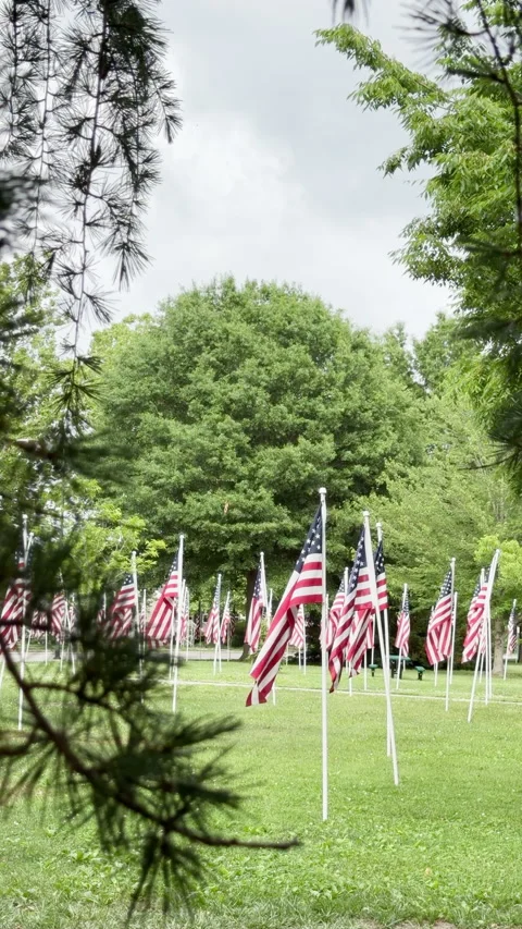 Rows of American flags stand proud on green grass Stockbeeldmateriaal 337575855