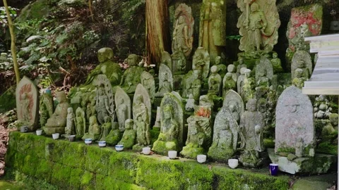 Rows of ancient moss-covered stone statues on a wall in a sacred forest Stock Footage 339041521