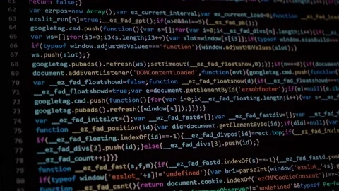 Rows and code data of a computer program by a it software developer Stock Footage 168274992