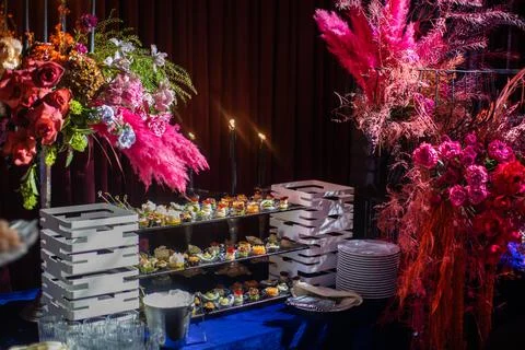 Rows of appetizers and starters on the wedding table Stock Photos