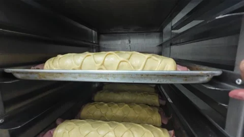 Rows of Artisanal Ham Bread on Trays inside Industrial Bakery Oven Stock Footage 337865053