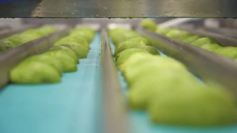 Rows of Avocado Halves Moving Through Avo HPP Processing Line 스톡 동영상 346738901