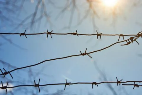 Rows of barbed wire against a blue sky and bright sun Stock Photos