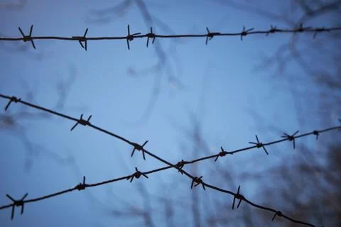 Rows of barbed wire against a dark blue sky, blurred image Stock Photos