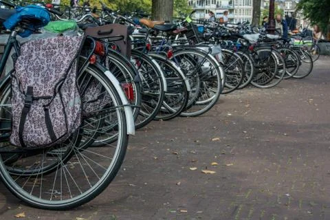 Rows of bicycle tires Foto stock