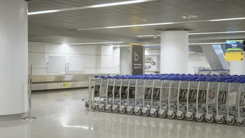 Rows of blue baggage carts parked at airport arrivals baggage claim hall Stock Footage 325031976