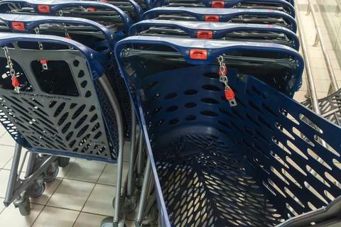 Rows of blue plastic shopping carts parked inside a grocery store supermark.. Fotos de archivo