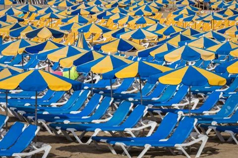 Rows of blue sunbeds with blue and yellow parasols at the beach Playa de Puerto Stock Photos