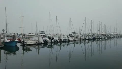 Rows of boats docked at Santa Barbara Harbor marina reflecting on calm water Stock-Footage 341624998