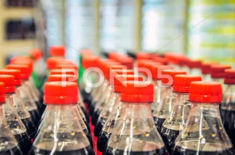 Rows of bottles Stock Photos