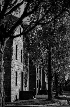 Rows of brick barracks through trees at Auschwitz memorial Stockfoto's