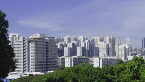 Rows of buildings with trees Stock Footage 201318293