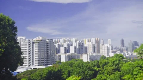 Rows of buildings with trees Stock Footage 201318298