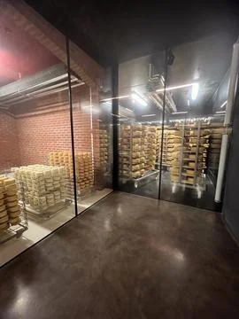 Rows of cheese wheels maturing in a controlled environment concept of artisan Foto stock