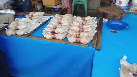 Rows of chicken meat on the table ready to be sold Stock Footage 242570824