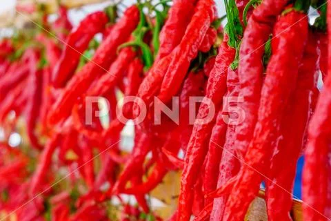 Rows of chilli peppers hang together Stock Photos
