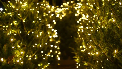 Rows of christmas trees full lights walking through in slow motion Video stock 166663829