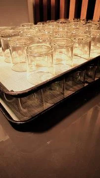 Rows of clean empty drinking glasses upside down on a tray. Fotos Stock