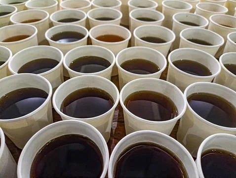 A Rows of coffee cups filled with dark, rich liquid Stock Photos