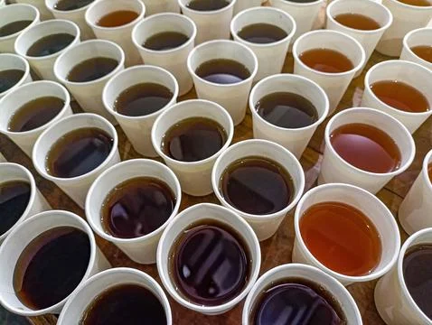 Rows of coffee cups filled with dark, rich liquid Stock Photos