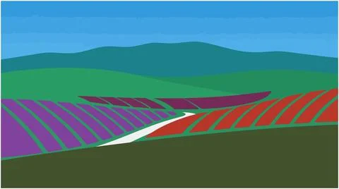 Rows of colorful blooming fields in a rolling landscape with landscape, col.. Stock Illustration
