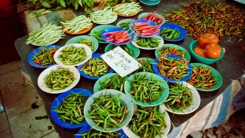Rows of colorful plates of green chilli Stock Photos
