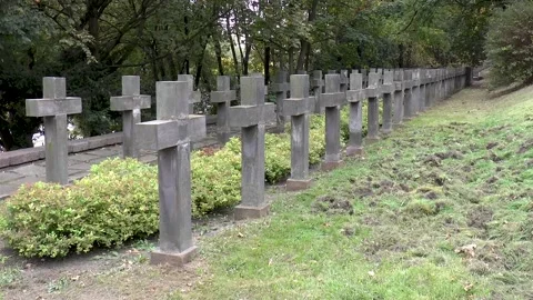 Rows of crosses at cemetery. 스톡 동영상 145920905