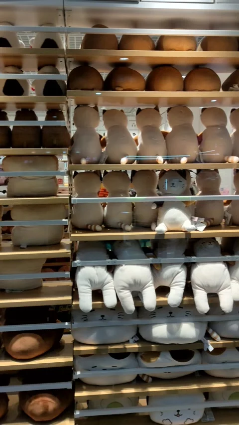 Rows of cute plush toys and stuffed animals displayed on shelves. Back view. Stock Footage 339184716