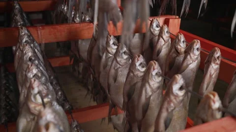 Rows of Dried Fish Hanging on Racks Stock Footage 335642193