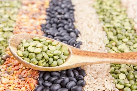Rows of dry beans and lentils. Фото