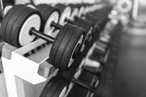Rows of dumbbells in the gym Stock Photos