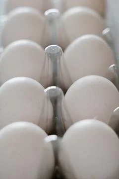 Rows of eggs displayed with soft focus and muted tones emphasizing freshness Stock Photos