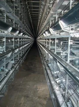 Rows of empty cages from inside an industrial chicken egg layer confinement Stock Photos