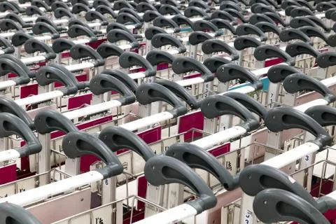 Rows of empty carts ready for customers Stock Photos