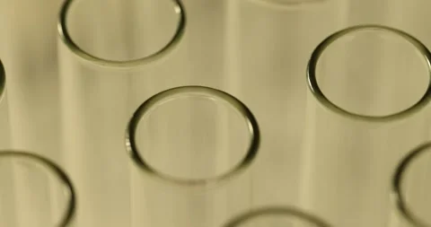 Rows of empty glass test tubes in the laboratory Stock Footage 272599452
