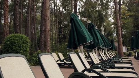 Rows of empty sun loungers stand in a wooded area at the pool. Stock Footage 100892060