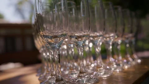 Rows of empty wine glasses arranged for outdoor event Stock-Footage 342768846
