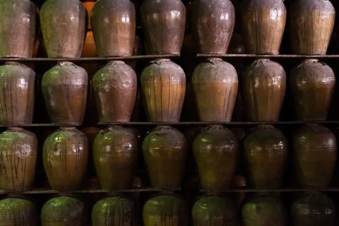 Rows of fermented alcoholic beverage Stock Photos