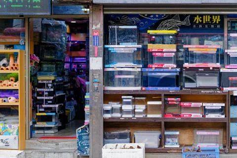 Rows of fish tanks displayed at aquarium shop on Taipei's Minquan East Road 스톡 사진