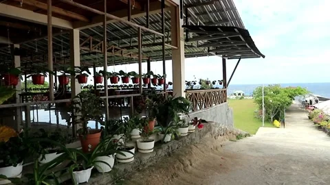 Rows of flower pots that hang neatly on the side of the room Stock Footage 201031341