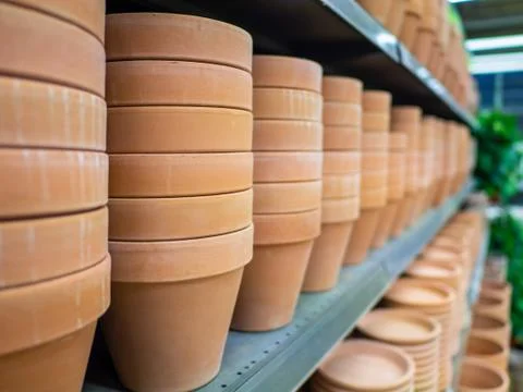 Rows of flower pots on the shelf in the store Stock Photos